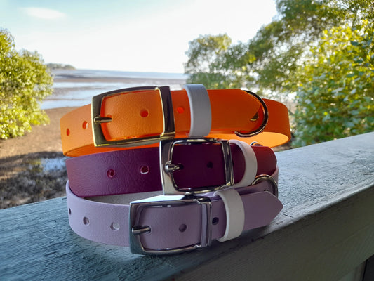 Pin Buckle Collar